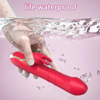 Vibrador de Aguja de Conejo Leten Masajeador de Vagina Telescópico para Mujeres - details 1