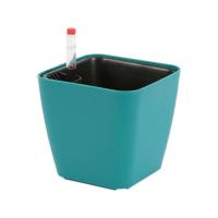 Flores resistentes a la intemperie en espacios pequeños ETA, autoirrigación duradera ETA S Beauty para plantas de jardín - details 6