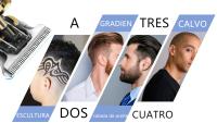 Máquina Cortadora de Pelo Profesional para Hombre, Afeitadora Eléctrica con LED, máquina - details 1