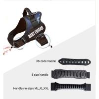 Correa de Nylon de Alta Calidad para Perros Ajustable, Personalizable, Ideal para Perros Pequeños y Grandes, Perfecto para Halloween - details 3