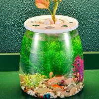 Recinto para tortugas, pecera transparente pequeña transparente inastillable con tapa, acuario para tortugas, terrario de plástico para tortugas, decoración de oficina - details 10