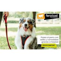 Correas, collares y arneses para perros de Ferplast