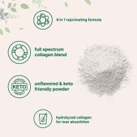 Polvo de peptíbios de colágeno 900G - details 4
