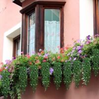 Plantas Colgantes Artificiales