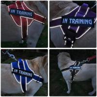 Arnés de control Chaleco de alto servicio, collar acolchado con parches extraíbles, terapia emocional EA para perros, NO PET XXL XL L M - details 11