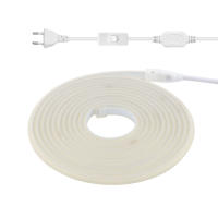 Cinta LED de Neón COB 220V 288Leds/m Luz de Alta Brillo FOB IP67 para Exteriores Jardín Dormitorio Cocina XUNATA con Interruptor Tipo de Bombilla Normal Estilo Chino - details 11