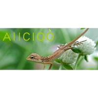 Bombilla de Calor UVB UVA AIICIOO Promueve la Sintesis de D3 para Reptiles y Amfibianos - details 0