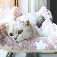 Cama de Gato Haa Soporte Cómodo para Asiento de Ventana Dorada Marco de Escalada para Gatito - details 1