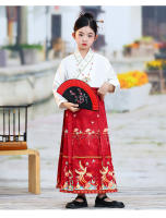 Falda con cara de caballo para niña, conjunto Hanfu, nuevo estilo Ming Tang de primavera para niños grandes, disfraz antiguo de estilo chino - details 9