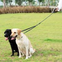 Correa doble perro, correa giratoria 360 sin enredos caminar, cuerda elástica que absorbe los golpes para dos perros - details 7