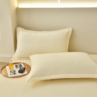 Bonenjoy-funda de almohada de terciopelo cálido, Fundas de cojín de Color sólido, 2 piezas, rectangular, 48x74cm - details 4