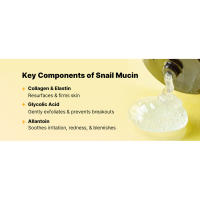 Key components of Snail Mucin, Colagen & Ellastin, Glycolic Acid & Allantoin
