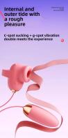 Doble vibración huevos control de la aplicación de silicona succión clitoris estimulación vibrador juguetes sexuales para las mujeres masturbación masajero - details 3