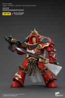 JOYTOY 40k 1/18 figuras de acción Anime 14,2 cm Blood Angels Legion Praetor en Tartaros Terminator Armor - details 3