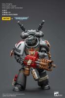 JOYTOY 40k 1/18 figuras de acción Anime 12cm caballeros grises Interceptor Strike Squad juguetes de modelos de colección - details 13