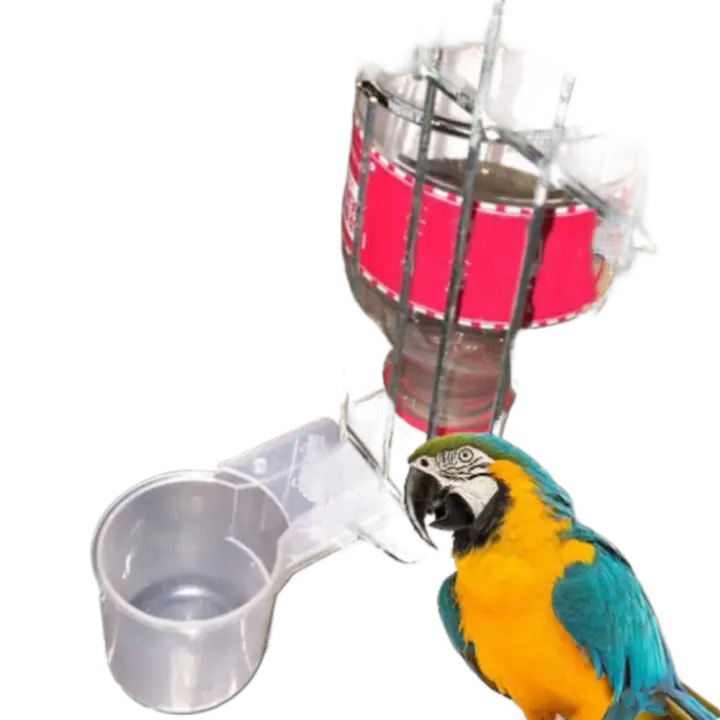 Comedero para pájaros de 5 uds., bebedero transparente para pájaros, taza de plástico con doble boquilla, taza de agua para palomas, guía de agua para loros, pollo - 1