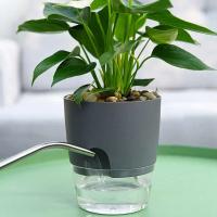 Plástico usado autoirrigación de plantas hidropónicas, ETEros en jugoso ETA, decoración de escritorio transparente para hogares y oficinas - details 5