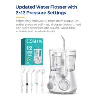 water flosser