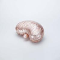 Señoras europeo y americano nuevo bolso de palmo oblicuo bolso Doudou bolso de acrílico moda boda cena bolso de embrague - details 7