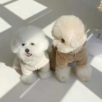 Ropa de invierno para perros pequeños y medianos, sudaderas con capucha con estampado bonito para cachorros, sudaderas con capucha de lujo para gatos, jerseys para mascotas, ropa para Chihuahua - details 4