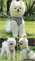Arnés con correa para perro y gato, chaleco ajustable para caminar, suave y transpirable, Collar a cuadros para cachorros pequeños y grandes - details 6
