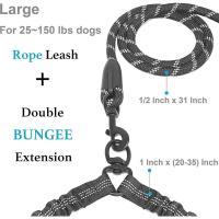 Correa doble perro, correa giratoria 360 sin enredos caminar, cuerda elástica que absorbe los golpes para dos perros - details 6