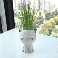 ETA de cerámica con mini gato, hermosas plantas de dibujos animados, ETA de escritorio, juguetes decorativos de bricolaje, educación científica, regalo escolar, 1 pieza. - details 5