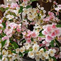 Flores artificiales elegantes de Begonia, simulación de tacto Real realista, flores de Malus, flores falsas hechas a mano, decoración de jardín al aire libre - details 2