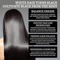 Esencia nutritiva e hidratante de Ganoderma blanco a negro para reparar y masajear el cabello - details 4