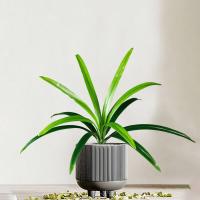 Planta de Magnolia Artificial Trópico Dragón Barba Hojas de Orquídea Falsas - details 2