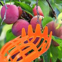 Cosechador de Frutas de Altura Herramienta de Jardín de Plástico para Melocotón, Ciruela, Jujube - details 5
