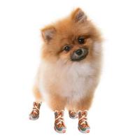 Zapatos para perros, osos de peluche, zapatos de suela blanda, zapatos transpirables anticaída para cachorros pequeños, juego de 4 zapatos de verano para mascotas - details 0