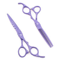 Purple Dragon-tijeras de peluquería profesional de acero inoxidable, 5,5 ", 6", Z1010 - details 9