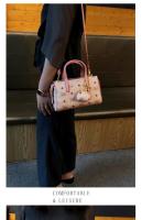 Bolso Tote Impreso de Nicho Elegante de la Marca de Hong Kong2025Nuevo Estilo Bolso de Mano de Alta Gama Bolso de Hombro Cruzado - details 4