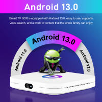 Dispositivo de TV inteligente H96 MAX M1, decodificador con Android 13,0, RK3528, 8K, 2GB, 4GB, 16GB, 32GB, 64GB, LAN 100M, Wifi Dual 2,4G y 5G, BT4.0, reproductor multimedia - details 1