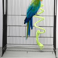 Juguete de Cuerda de Algodón Espiral para Aves Barra de Masticación para Periquitos - details 3