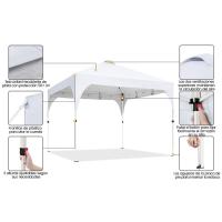 carpa