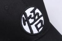 Gorras de béisbol de algodón con diseño de dragón, ajustables, dropshipping para niños, regalo de fiesta, mujeres y papá. - details 10