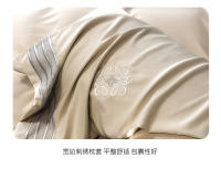 Juego de cama y sábana bajera de seda fría con bordado sólido, verano, cielo, cuatro piezas - details 9