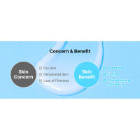 TIA'M TIAM Crema revitalizante de humedad hialurónica, 1.69 fl oz, hidratante facial con péptidos y ceramidas, hidratación reafirmante de larga duración, - details 2