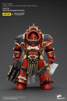 JOYTOY 40k 1/18 figuras de acción Anime 14,2 cm Blood Angels Legion Praetor en Tartaros Terminator Armor - details 0