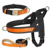 Collar de Cuero de Nylon para Perros Correa de Captura de Mascotas sin Tirón para Perros Pequeños y Grandes Correa de Vestir de Mascotas - details 3