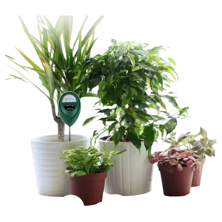 Medidor De Humedad Para Plantas 3-en-1 pH/Luz Medidor De Tierra Para Interiores Jardín Césped Granja Kit De Prueba De Tierra - 1