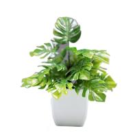 Mini bonsái Artificial, planta falsa con maceta, adornos en maceta, planta Artificial de eucalipto en maceta, decoración de jardín - details 8