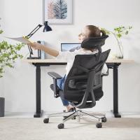 Silla de Oficina Ergonómica Resalto Alto con Reposabrazos 4D, Altura Ajustable, Soporte Lumbar y Reposacabezas 2D - details 8
