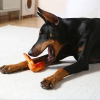 Juguete para perros relleno de felpa que simula huesos de pierna de pollo haciendo sonidos juguete para mascotas juguetes para perros pequeños accesorios - details 2