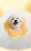 HOOPET-Collar circular de Elizabeth para gato, protección ajustable para mascotas, antilamer, forma de flor, 6 colores - details 9