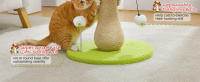 Árbol pequeño para gatos, poste rascador con bola de resorte y rascador para gatos de interior,rascador de gato, juguetes para gatos - details 3