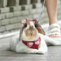 Conjunto de arnés y correa para gato y conejo a cuadros clásicos, arneses transpirables para mascotas con lazo para conejito, gatito, accesorios para conejos, ropa - details 2