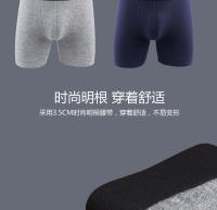 Bragas de algodón para hombre, boxeador, bragas, gordas, deportes, extendidos - details 5